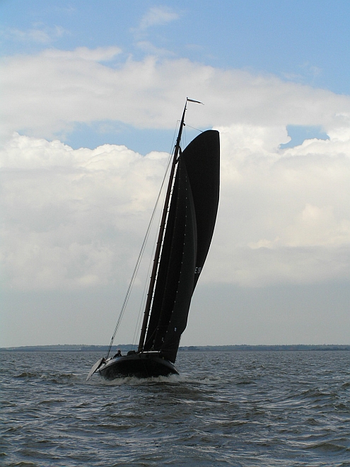 Lemsteraak_Ahoy2008 (87).jpg